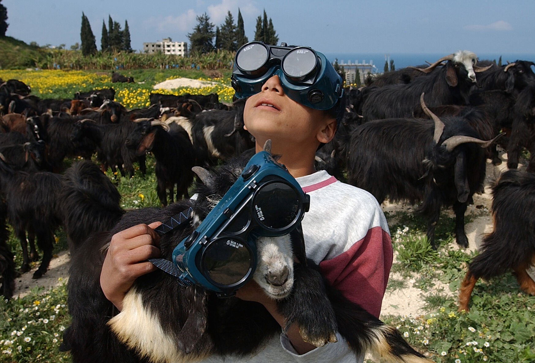 Total Solar Eclipse Photo Gallery